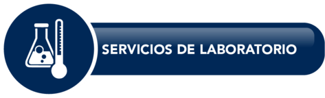 Botón Servicios