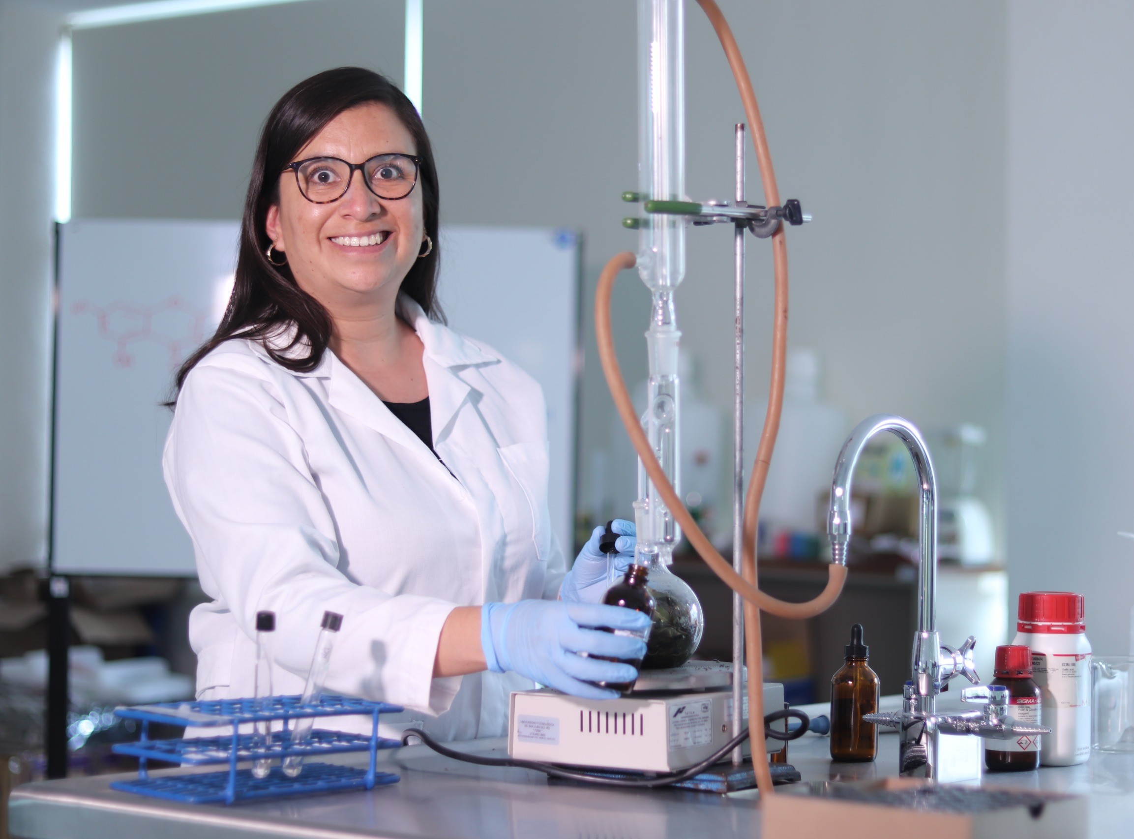 Maestría en Gestión e Innovación Empresarial