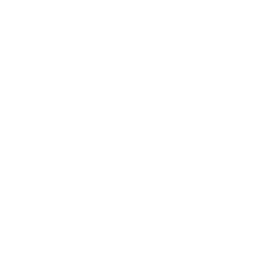 lineamientos