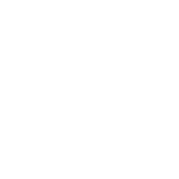 Logo Tiktok
