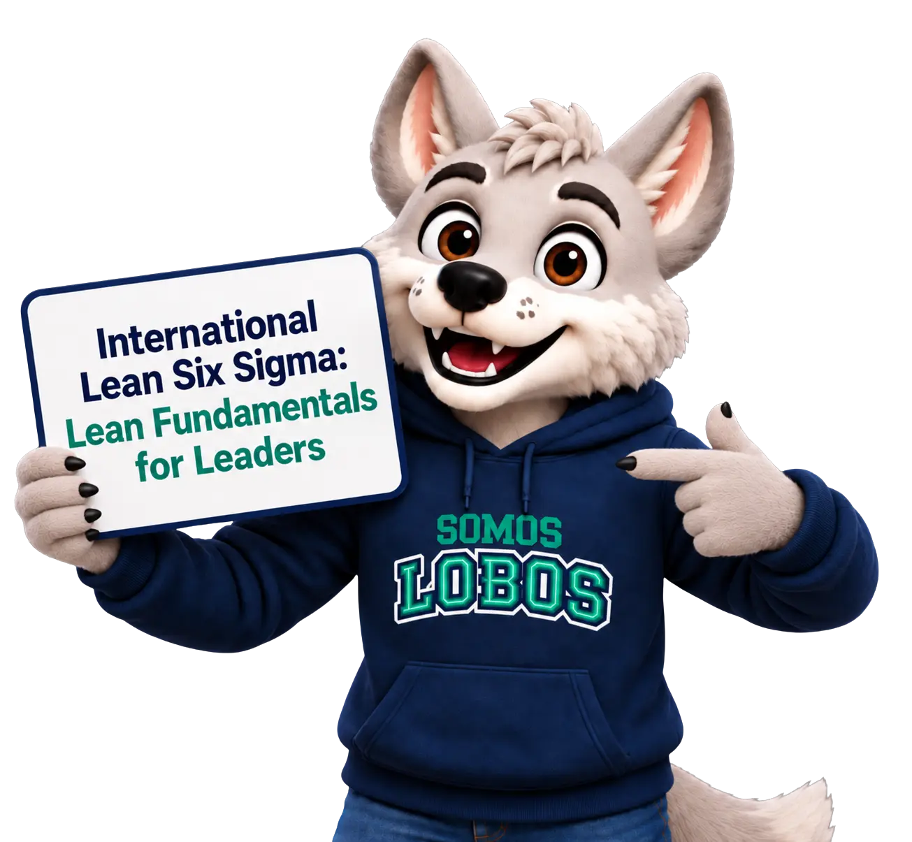 International Lean Six Sigma